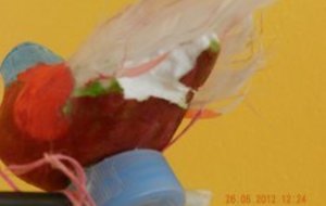 Tir à l'oiseau...c'est fait