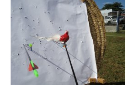 Le tir du Roy, samedi 14 mai!