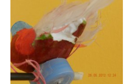 Tir à l'oiseau...c'est fait