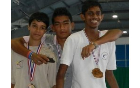 Championnat de La Réunion en salle...2013