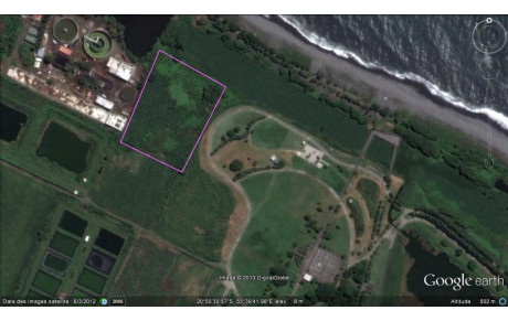 LES ARCHERS DU COLOSSE AU COLOSSE!