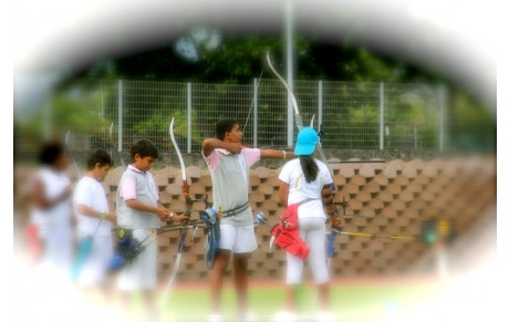 DAVID: le colosse pur sang!