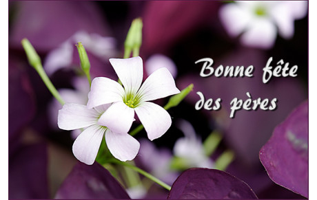 BONNE FETE A TOUS LES PAPAS...