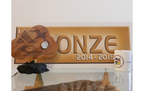 Champions de La Réunion FITA 2013