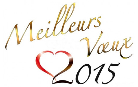 VŒUX 2015