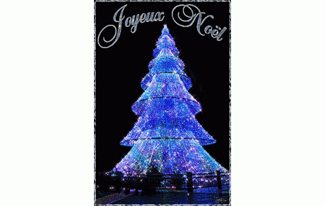 JOYEUX NOËL ET BONNES FÊTES DE FIN D'ANNEE